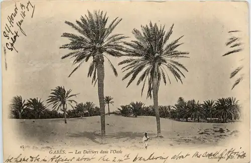Gabes - LEs Dattiers dans l Oasis -477262