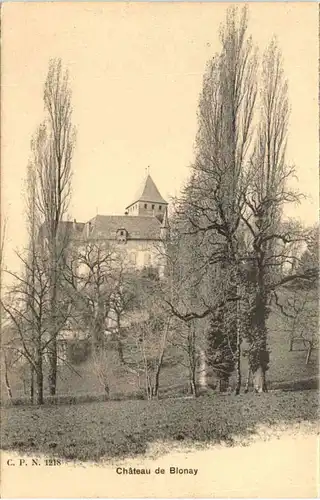 Chateau de Blonay -506328