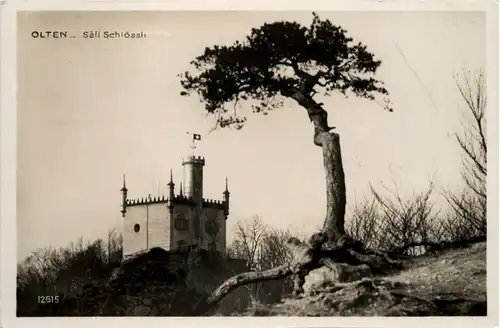 Olten, Säli Schlössli -506846