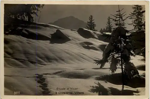 Etude d`hiver, a Chesieres - Villars -506242