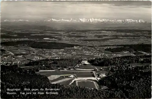 Magglingen - Blick gegen die Berneralpen -506496