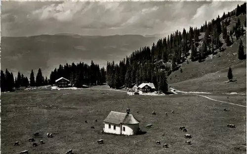 Bergheim Aelggialp, Sachseln -506628