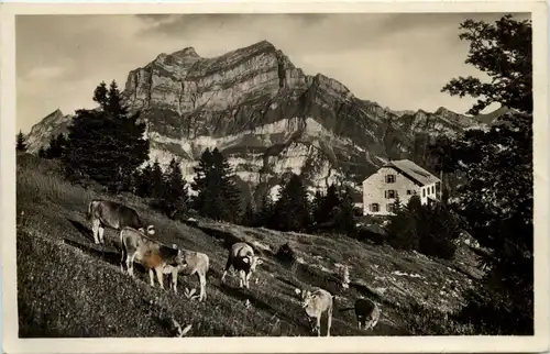 Zürcher Naturfreundehaus Fronalp mit Wiggis und Rauti -507146