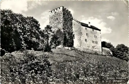 Schloss Habsburg - Aargau -507870