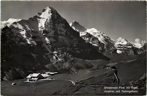 Grindelwald-First mit Eiger -507640