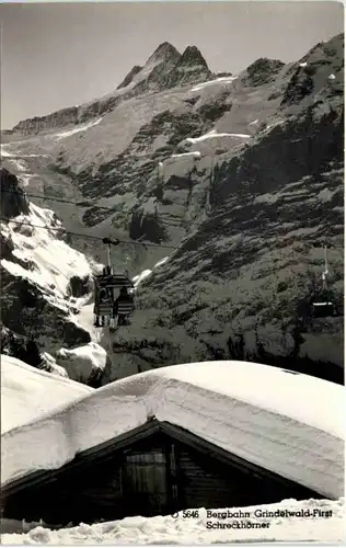 Grindelwald-First, Bergbahn, Schreckhörner -507660