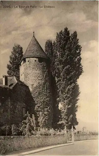 La Tour de Peilz, Le Chateau -507306