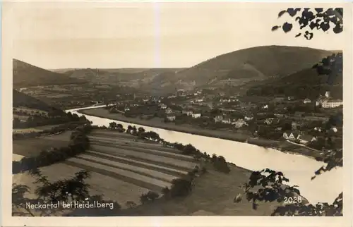 Neckartal bei Heidelberg -505038