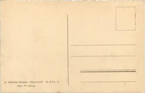 Rapperswil, Aufstieg zum Schloss -506762