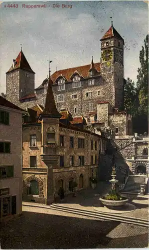 Rapperswil, Die Burg -506764