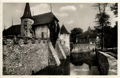 Schloss Hallwil -507860