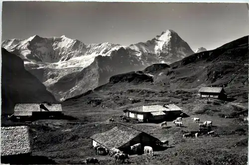 Grindelwald, Alp Bachläger -507666