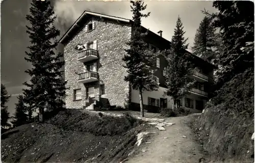 Waldhotel Bettmeralp -508240