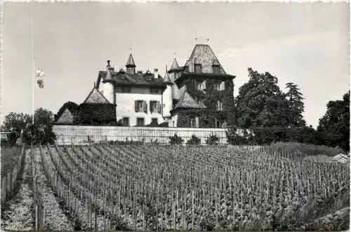 Jussy, Chateau du Crest -508480