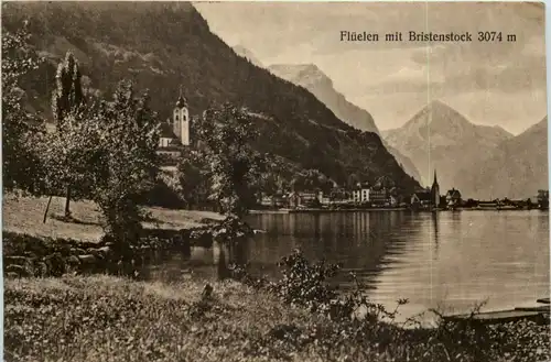 Flüelen mit Bristenstock -605350