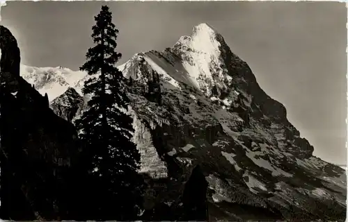 Grindelwald, Lauchbühl, Der Eiger -507624