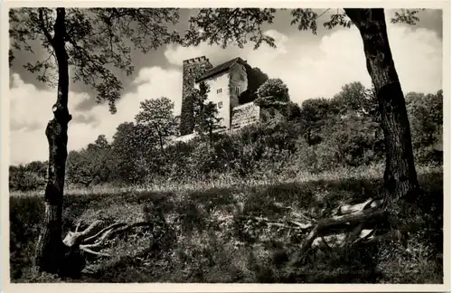 Schloss Habsburg - Aargau -507896