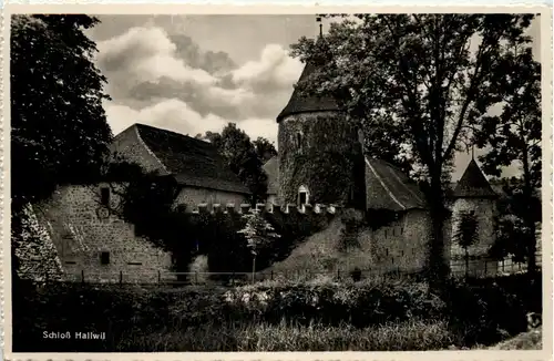 Schloss Hallwil -507862