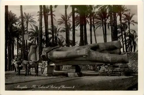 Memphis - The Colossal Statue of Ramses I -481756