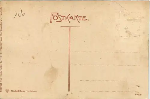 Unteres Innthal aus der Vogelschau Nussdorf Audorf - Künstler-AK Eugen Felle -605780