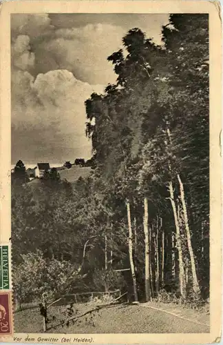 Bei Heiden - Vor dem Gewitter -605386