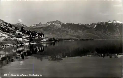 Rives du Le`man, St. Saphorin -506618