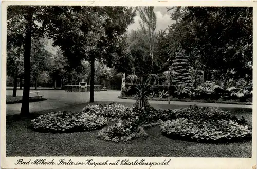 Bad Altheide - PArtie im Kurpark -481996