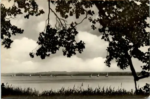 Segelregatta auf dem Scharmützelsee -376702