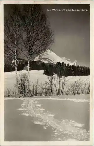 Winter im Obertoggenburg -506838