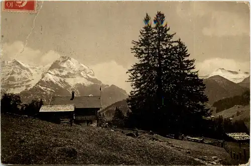 Schermtanne - Wettertanne mit Grosslohner -605276