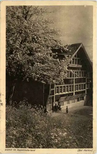 Bei Heiden - Blühet im Appenzellerland -605268