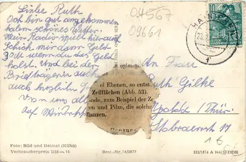 Hainichen/Sa, div. Bilder -377116