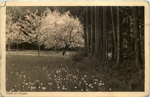 Blühet im Thurgau -605262