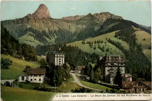 Les Avants - La Dent de Jaman -482596