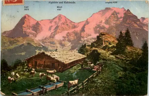 Eiger Mönch - Alphütte und Kuhherde -605508