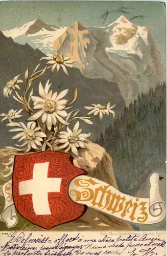 Schweiz - Litho - Edelweis -605524