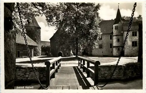 Schloss Hallwil -507878