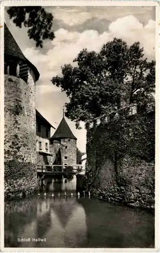 Schloss Hallwil -507918