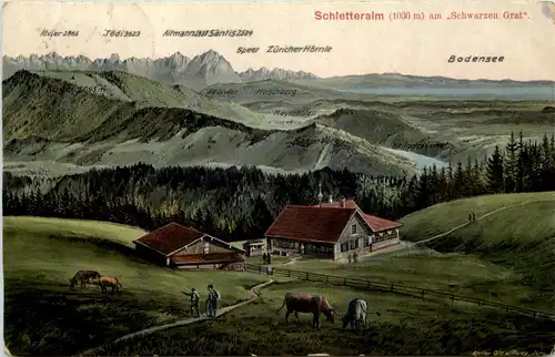 Schletteralm am Schwarzen Grat - Künstler-AK Eugen Felle -607590