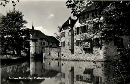 Schloss Hallwil am Hallwilersee -508498