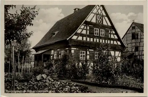 Rudolstadt, Birkenheider Haus -378754