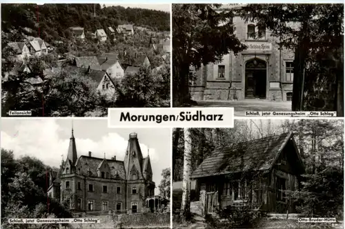 Morungen, div. Bilder -378854