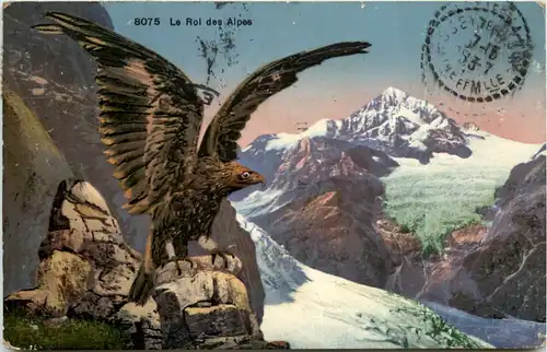 Le Roi des Alpes - Adler -605458