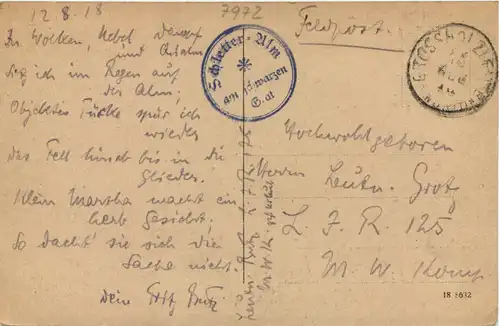 Isny - Schletteralm am Schwarzen Grat - Künstler-AK Eugen Felle -605738