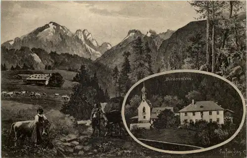 Birkenstein - Künstler-AK Eugen Felle -607592