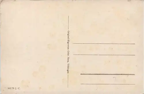 Isny - Ludwigshöhe - Künstler-AK Eugen Felle -607630