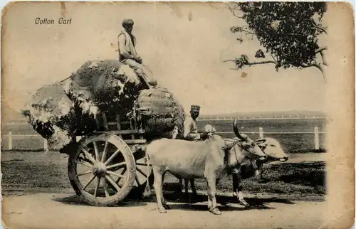 Cotton Cart -484832