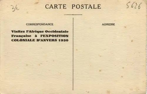 Dakar - L Anse Bernard -485332