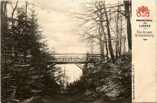 Laeken - Pont du ravin -485852