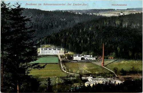 Brethaus im Schwarzwassertal bei Lauter-Aue -380674